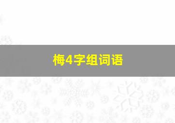 梅4字组词语