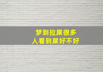 梦到拉屎很多人看到屎好不好