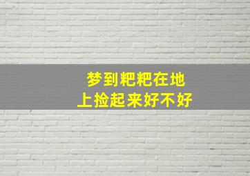 梦到粑粑在地上捡起来好不好