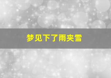 梦见下了雨夹雪