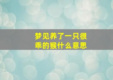 梦见养了一只很乖的猴什么意思