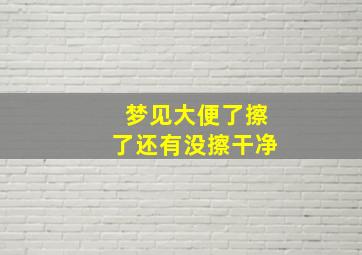 梦见大便了擦了还有没擦干净