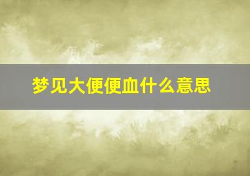 梦见大便便血什么意思