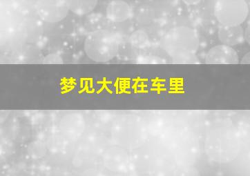 梦见大便在车里