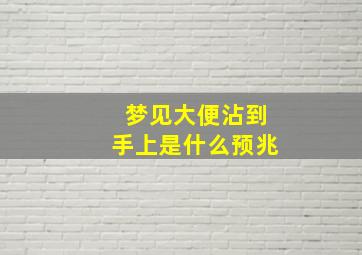 梦见大便沾到手上是什么预兆