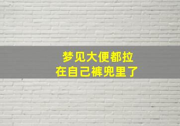 梦见大便都拉在自己裤兜里了