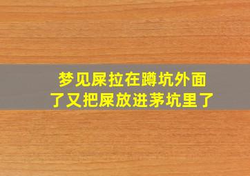 梦见屎拉在蹲坑外面了又把屎放进茅坑里了