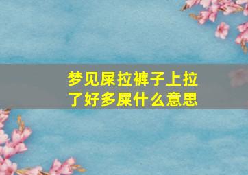 梦见屎拉裤子上拉了好多屎什么意思