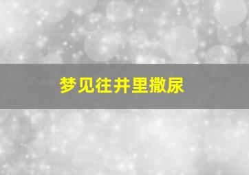 梦见往井里撒尿