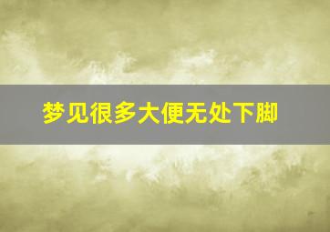 梦见很多大便无处下脚