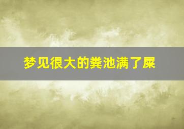 梦见很大的粪池满了屎