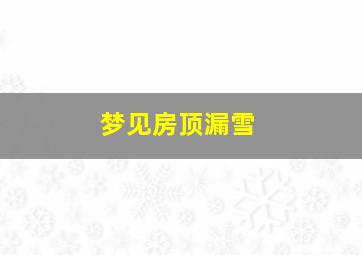 梦见房顶漏雪