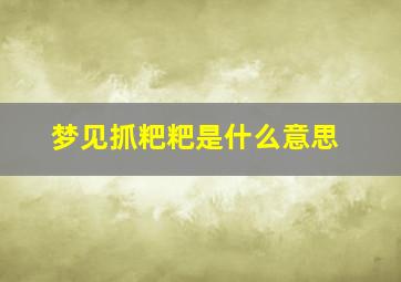 梦见抓粑粑是什么意思