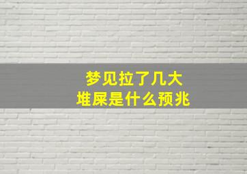 梦见拉了几大堆屎是什么预兆