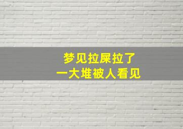 梦见拉屎拉了一大堆被人看见