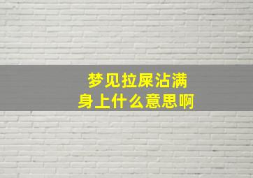 梦见拉屎沾满身上什么意思啊