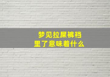 梦见拉屎裤裆里了意味着什么