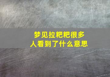 梦见拉粑粑很多人看到了什么意思