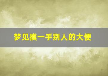 梦见摸一手别人的大便