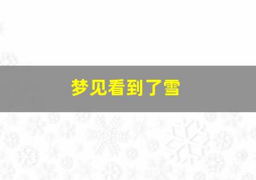 梦见看到了雪