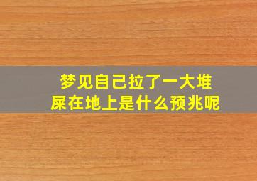 梦见自己拉了一大堆屎在地上是什么预兆呢