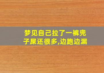 梦见自己拉了一裤兜子屎还很多,边跑边漏