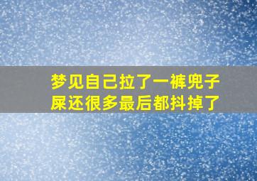 梦见自己拉了一裤兜子屎还很多最后都抖掉了