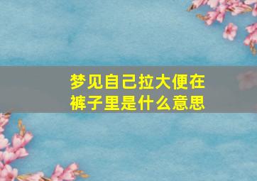 梦见自己拉大便在裤子里是什么意思