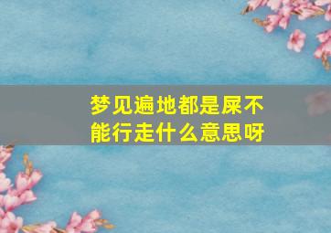 梦见遍地都是屎不能行走什么意思呀