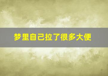 梦里自己拉了很多大便