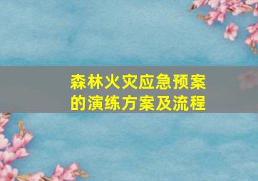 森林火灾应急预案的演练方案及流程