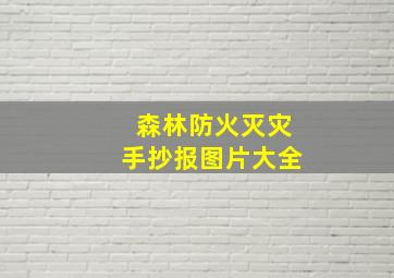 森林防火灭灾手抄报图片大全