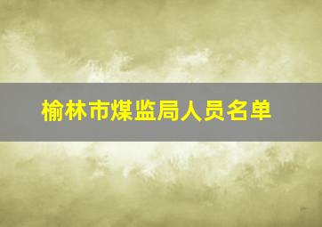 榆林市煤监局人员名单