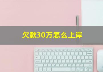 欠款30万怎么上岸