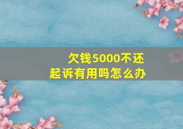 欠钱5000不还起诉有用吗怎么办