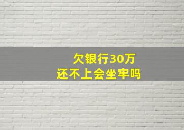 欠银行30万还不上会坐牢吗