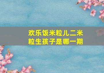 欢乐饭米粒儿二米粒生孩子是哪一期