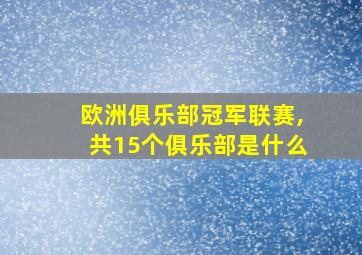 欧洲俱乐部冠军联赛,共15个俱乐部是什么