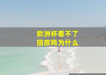 欧洲杯看不了回放吗为什么