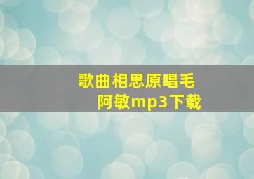 歌曲相思原唱毛阿敏mp3下载