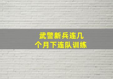 武警新兵连几个月下连队训练