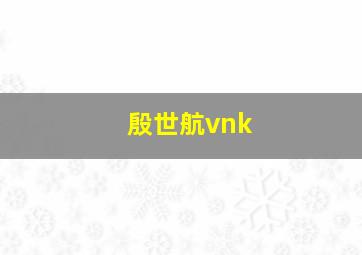 殷世航vnk