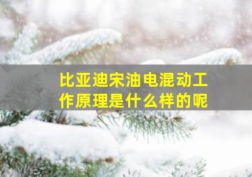 比亚迪宋油电混动工作原理是什么样的呢