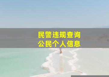 民警违规查询公民个人信息