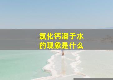 氯化钙溶于水的现象是什么