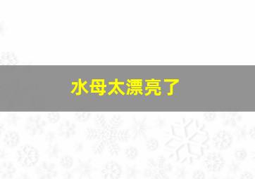 水母太漂亮了