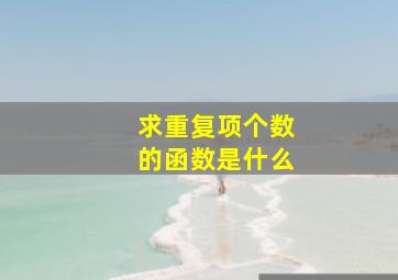 求重复项个数的函数是什么