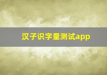 汉子识字量测试app