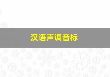 汉语声调音标