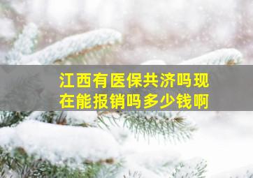 江西有医保共济吗现在能报销吗多少钱啊